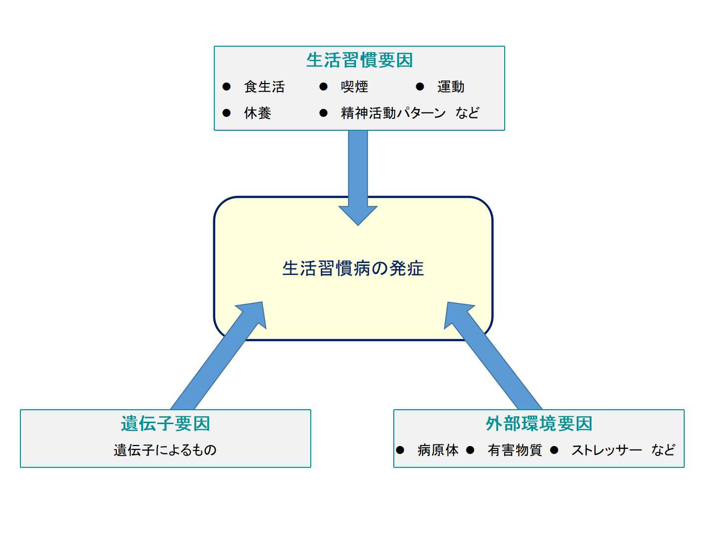 生活習慣病を予防するための共通点